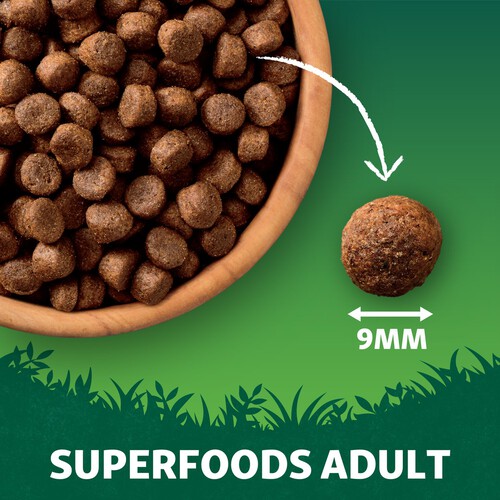 Harringtons Grain Free Superfoods Dry Dog Food In Salmon