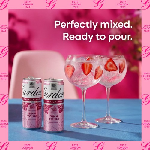 Gordon's Premium Pink Gin & Tonic 5% vol  Ready to Drink Premix Can