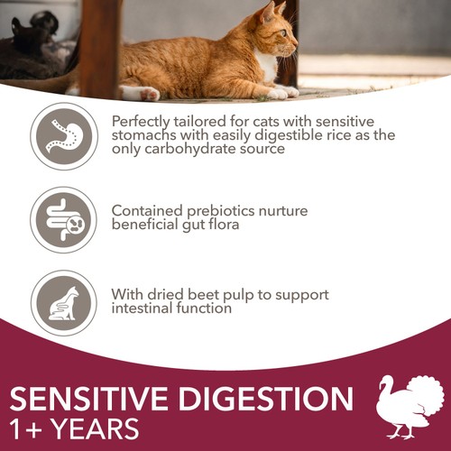 Iams Dry Cat Rich In Turkey For Sensitive Digestion 1+ Years 