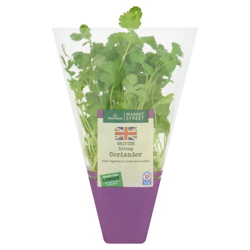 Morrisons British Market St Living Coriander