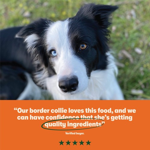 Harringtons Dry Adult Dog Food Rich in Chicken & Rice