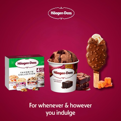 Haagen-Dazs Chocolate Brownie Ice Cream