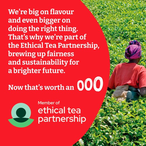 Typhoo Tea 80 Tea Bags 