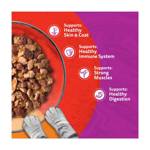 Whiskas 1+ Duo Meaty Combos Adult Wet Cat Food Pouches in Jelly