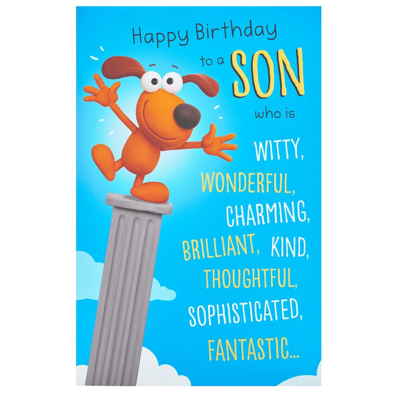 Humour Funny Son Birthday Card