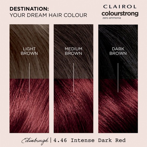 Clairol Colour Strong Permanent Hair Dye 4.46 Intense Dark Red