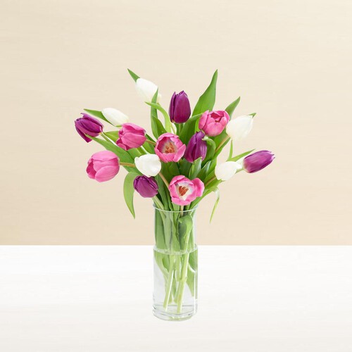 Morrisons Rainbow Tulips Flowers Bouquet