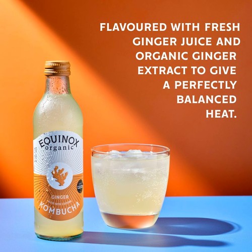 Equinox Organic Kombucha Ginger 275ml