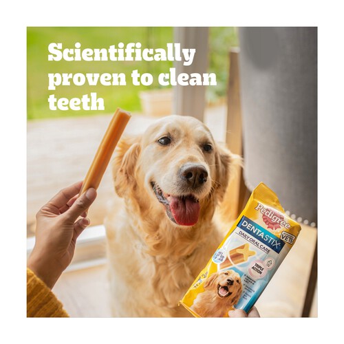 Dentastix medium dog best sale