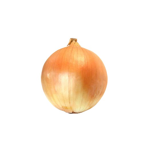 Morrisons Loose Onion