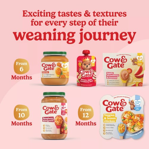 Cow & Gate Fruit Pouch Apple & Banana Baby Food 6+ Months