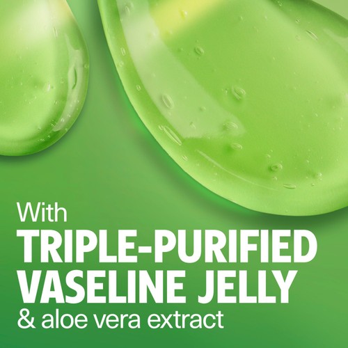 Vaseline Lip Therapy With Aloe Vera 20g