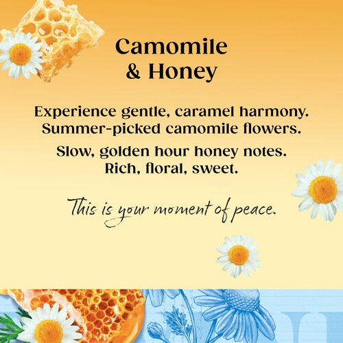 Twinings Soothing Camomile & Honey Tea Bags 20s