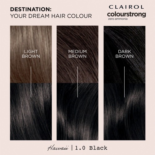 Clairol Colour Strong Permanent Hair Dye 1.0 Black