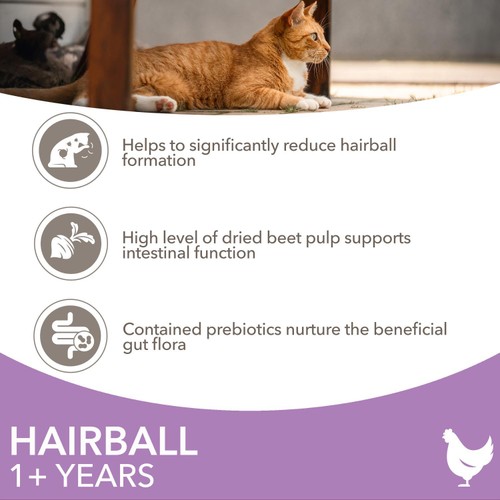 Iams Adult 1 Hairball Chicken 3kg