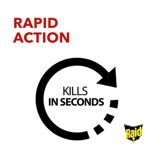 Raid Fly & Wasp Killer