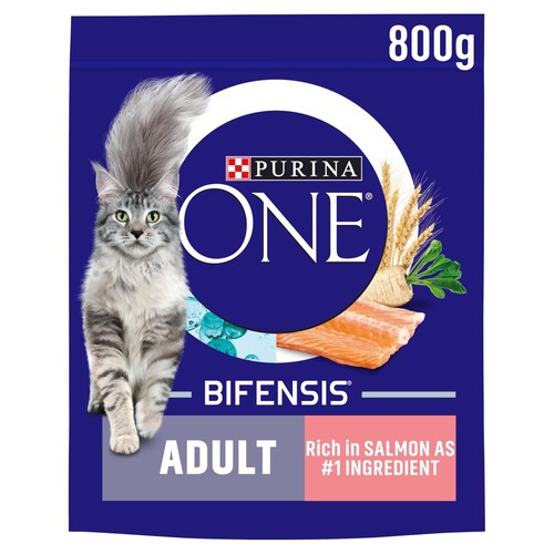 Purina ONE Adult Dry Cat Food Rich in Salmon 800g