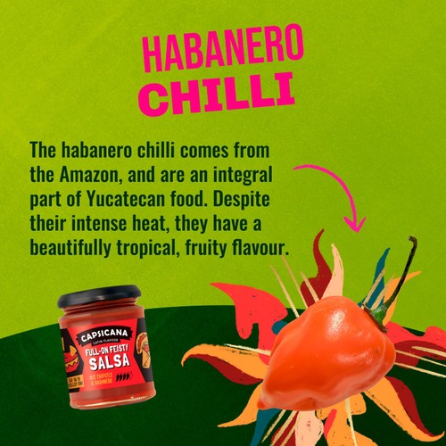 Capsicana Mexican Chipotle & Habanero Hot Salsa 285g