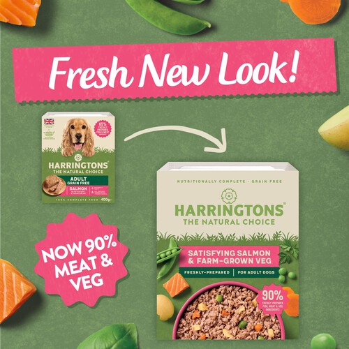 Harringtons grain free salmon best sale