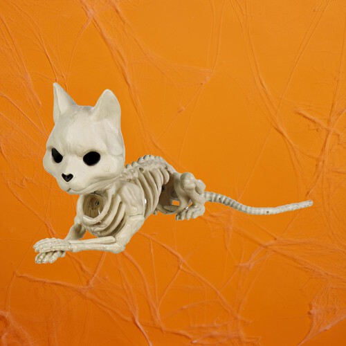 Morrisons Halloween Medium Skeleton Cat