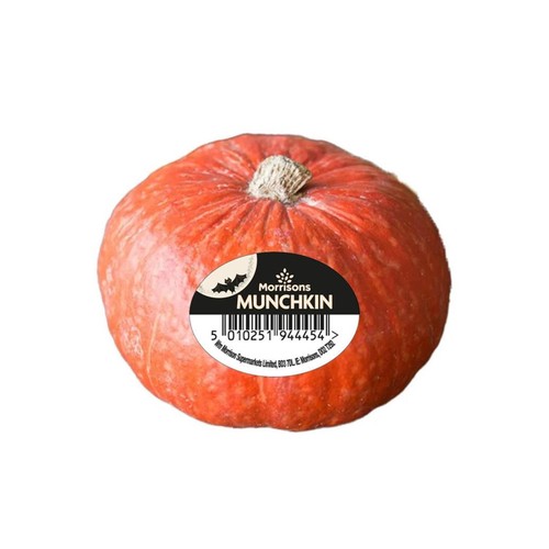 Morrisons Small Munchkin Pumpkin