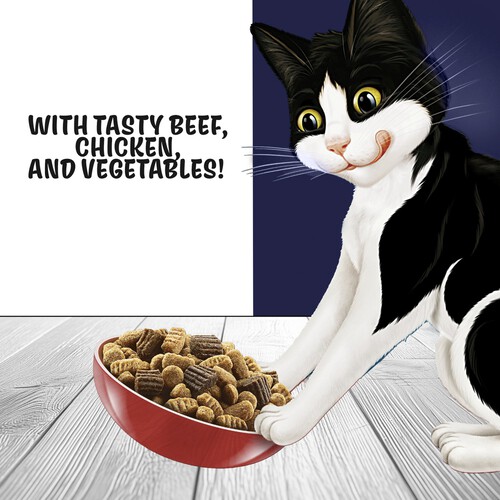 Felix Doubly Delicious Beef Chicken & Vegetables Dry Cat Food