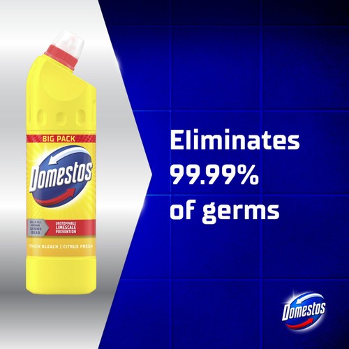 Domestos Bleach Citrus 