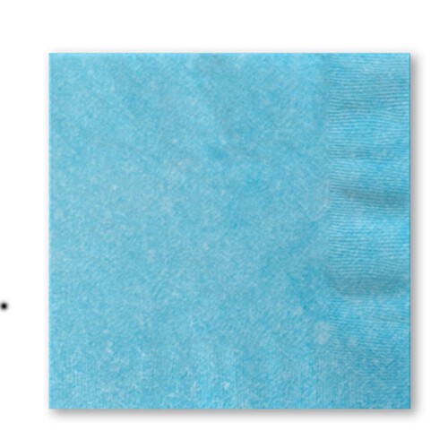 Nutmeg Home Blue Napkins