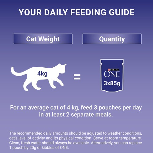 Purina One Mini Fillets Chicken And Beef Wet Cat Food