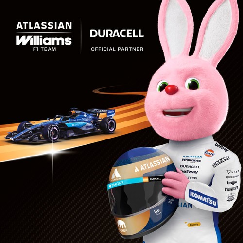 Duracell Plus C Alkaline Batteries