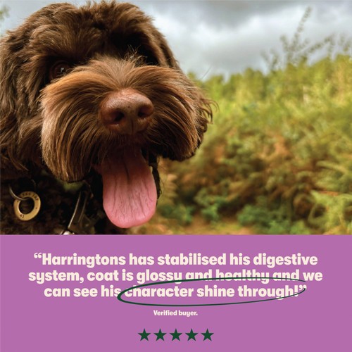 Harringtons Dry Adult Dog Food Rich in Lamb & Rice