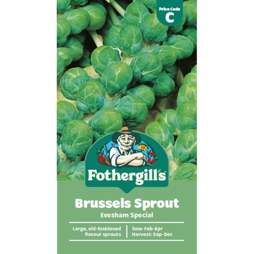 Mr Fothergills Brussels Sprout Evesham Special Seeds