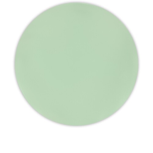 Decorata Reusable Plates Mint