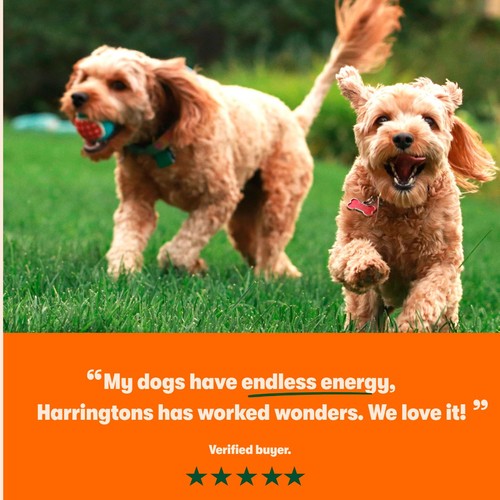 Harringtons Grain Free Superfoods Dry Dog Food In Chicken