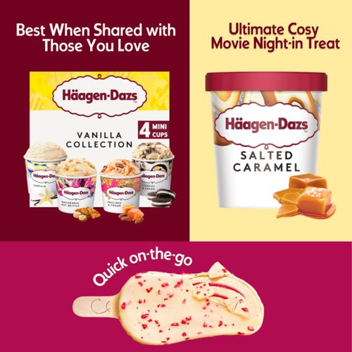 Haagen-Dazs Vanilla Collection Ice Cream Mini Cups