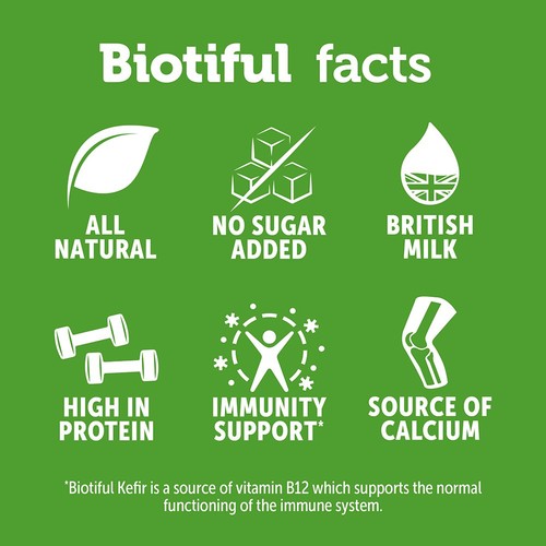 Biotiful Gut Health Kefir Drink Original 500ml