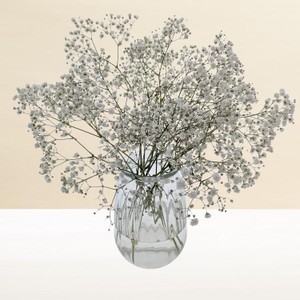 Morrisons Gypsophila Bouquet - Morrisons Online Groceries & Offers