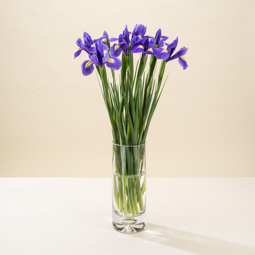 Morrisons Iris Flowers Bouquet