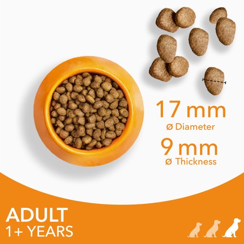 Iams For Vitality Dog Adult 1+ Years Large With Fresh Chicken