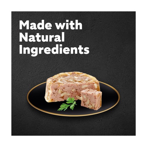 Cesar Senior Wet Dog Food Trays Meat in Delicate Jelly 