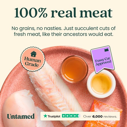 Untamed Fish Selection Box In Jelly Cat Food 6 x 75g