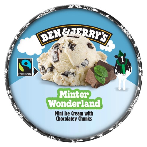 Ben & Jerry's Minter Wonderland Ice Cream Tub 