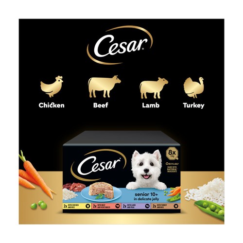Cesar Senior Wet Dog Food Trays Meat in Delicate Jelly 