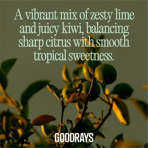 Goodrays ReFocus Zesty Lime & Kiwi 4 x 330ml