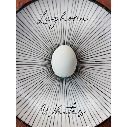 Clarence Court Leghorn Whites Large Free Range Eggs 6 Pack
