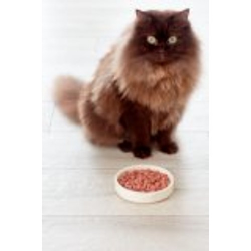 Freshpet Grilled Chicken Fresh Cat Food 400g