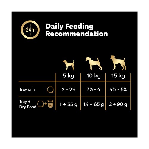 Cesar Senior Wet Dog Food Trays Meat in Delicate Jelly 