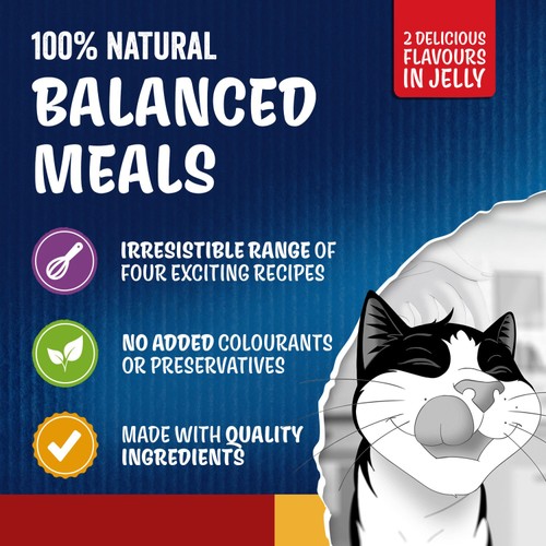 FELIX Doubly Delicious Countryside Selection in Jelly Wet Cat Food 40x85g