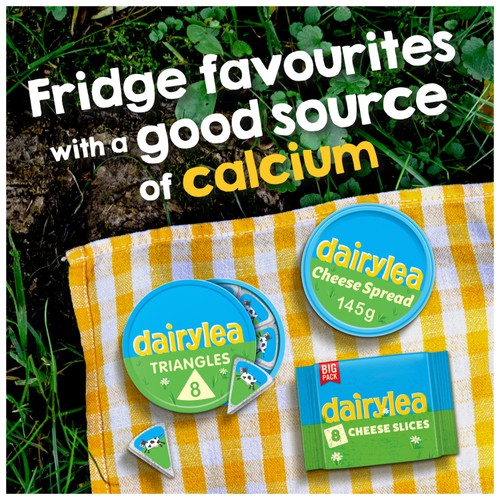 Dairylea Cheese Slices  8 Pack