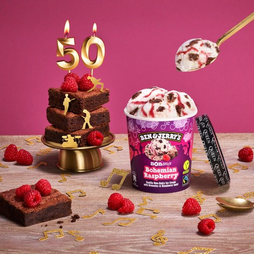 Ben & Jerrys Non-Dairy Vegan Bohemian Raspberry Ice Cream Tub